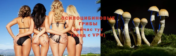 меф Алзамай