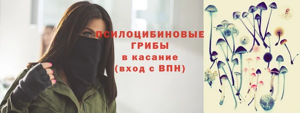 мяу мяу мука Алексин