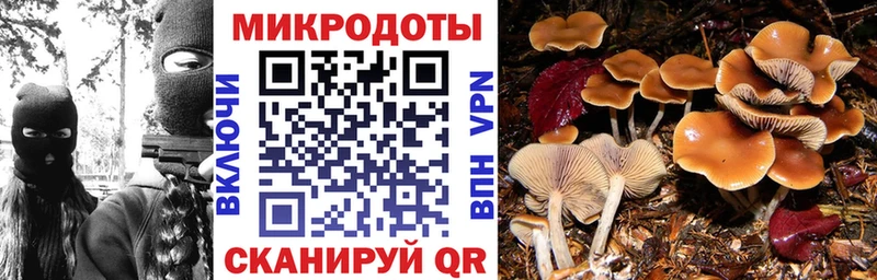 купить наркотики сайты  Уссурийск  Галлюциногенные грибы GOLDEN TEACHER 
